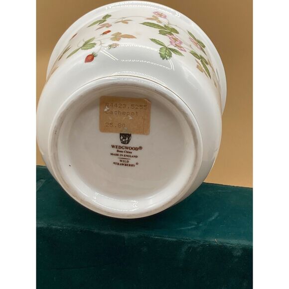 wedgwood wild strawberry cachepot bone china 4.5" tall new - Picture 3 of 5